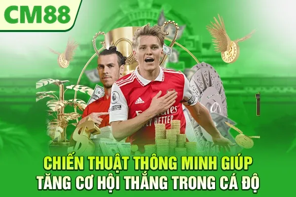 Chiến thuật thông minh giúp tăng cơ hội thắng trong cá độ